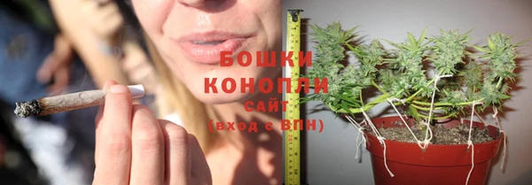 ECSTASY Балахна